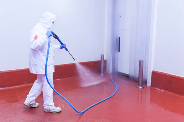 Best Solar Panel Cleaning  in Clifton Knolls Mill Creek, NY